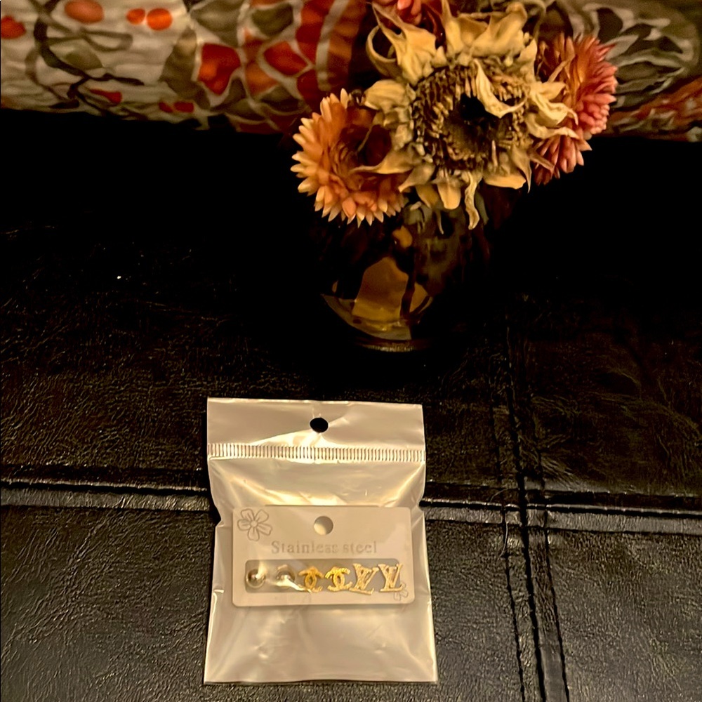 Gold Stainless Steel earrings
